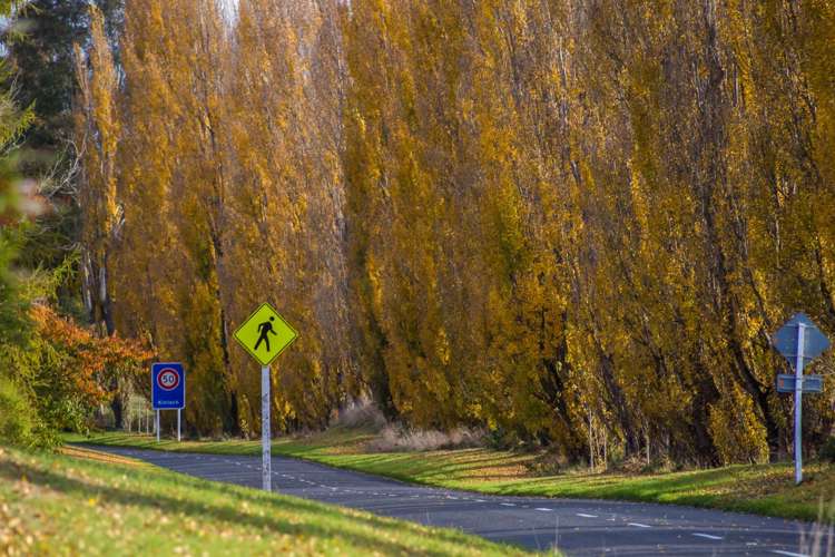 14 Pukeko Way Kinloch_11