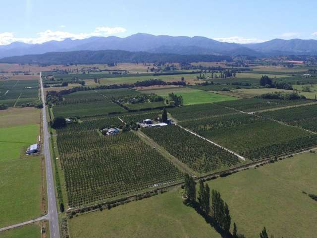 62 Edwards Road Lower Moutere_4