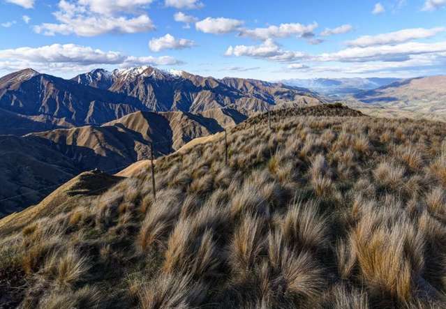 1624 Cardrona Valley Road Cardrona_3