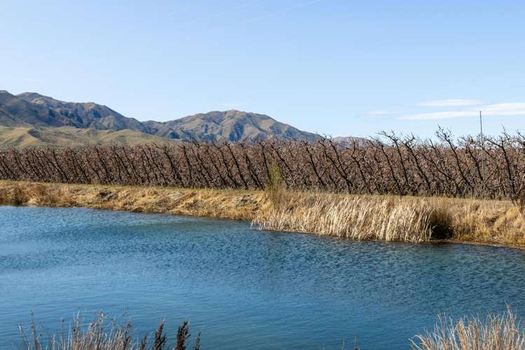 5221 Kurow Duntroon Road Duntroon_24