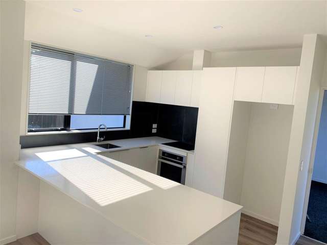 1/7 Yale Street Spreydon_1