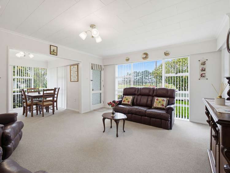 45 Dittmer Drive Awapuni_6