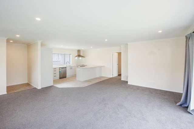 140 Rugby Street Awapuni_3