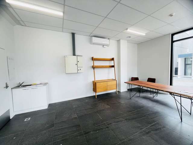 Unit 3/408 Great Grey Lynn_1