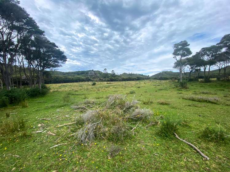 Lot 3/161 Wharariki Road Puponga_7