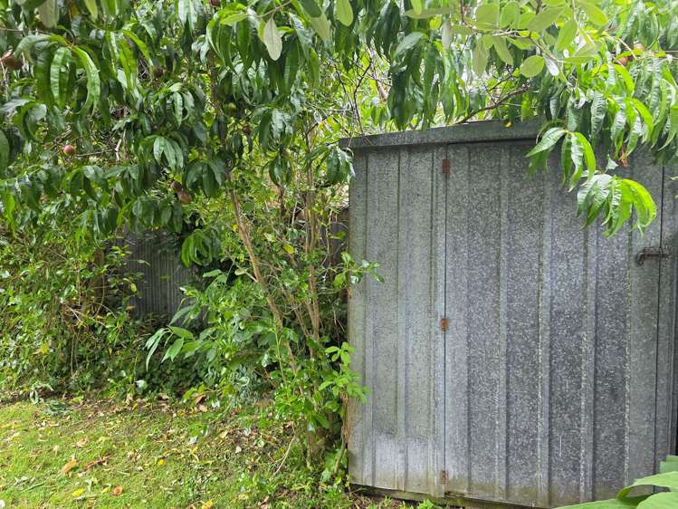 46 Durham Street Levin_21