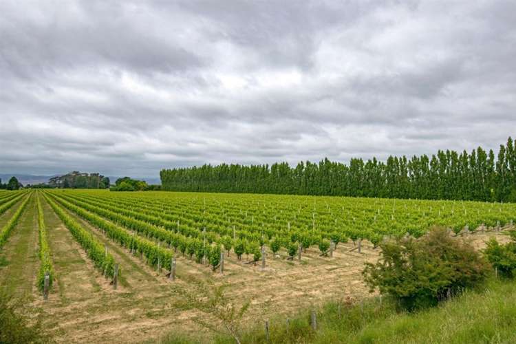 213 Chaytors Road Spring Creek_10