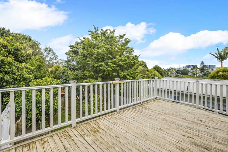 5 Aitken Terrace Kingsland_5