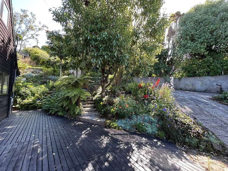 42 Earls Road Saint Clair_13