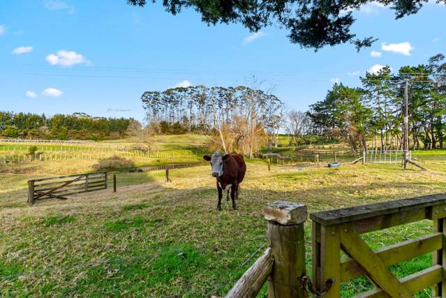 86b Wymer Road Glenbrook_4