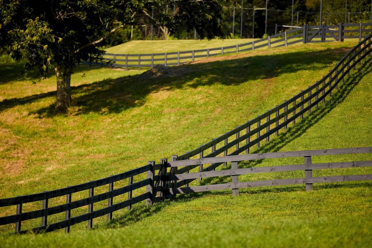 196C Pukemapu Road_2