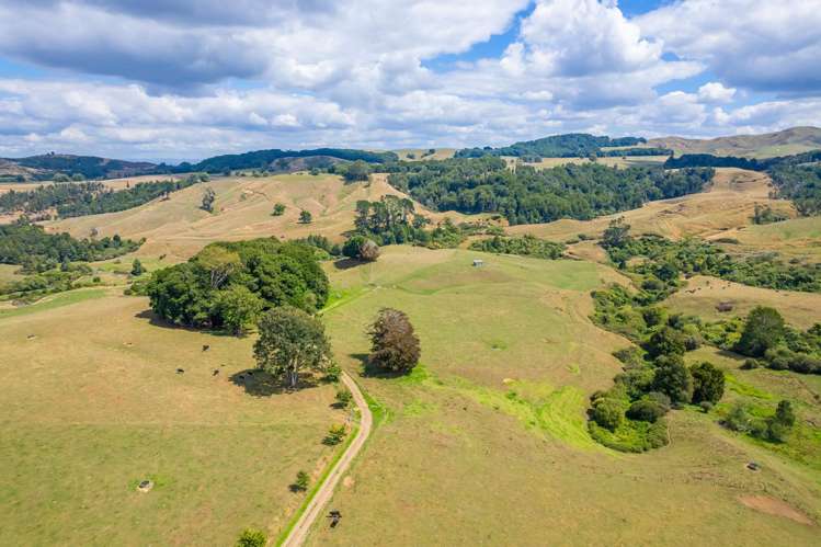 223 Maru Road Pukeatua_6