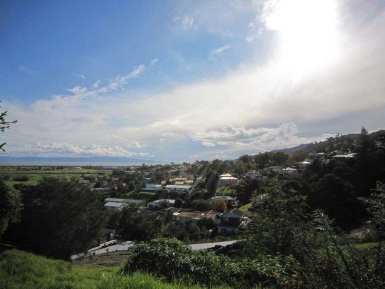 104 Alexander Close Thames_7