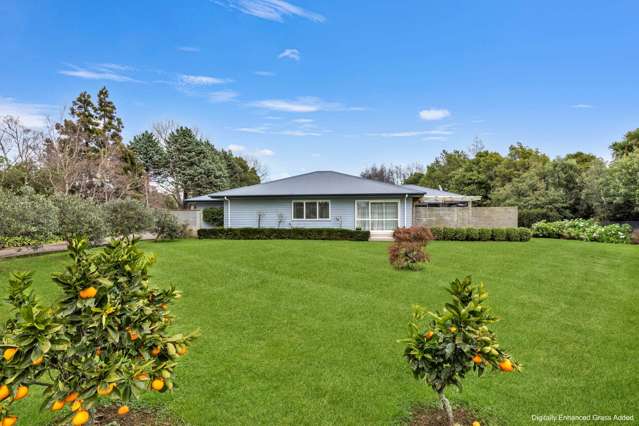 Modern Lifestyle Meets Country Charm
