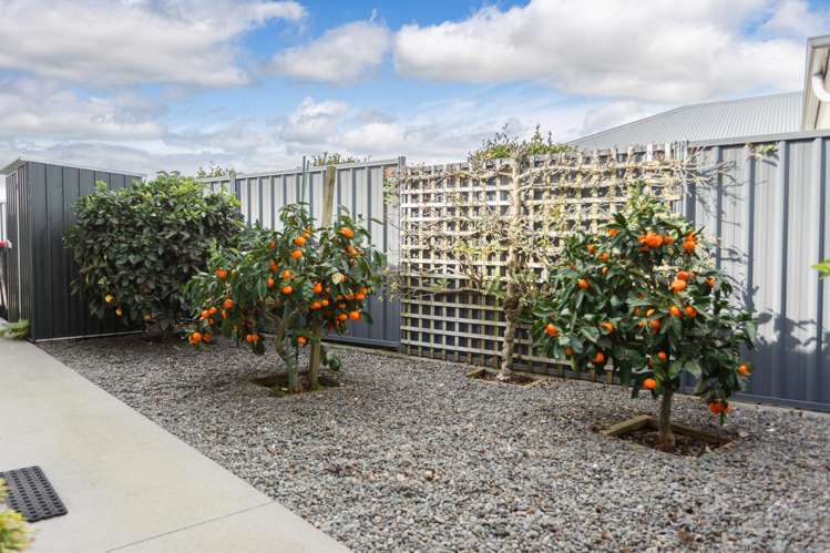 17 Maple Place Matamata_6