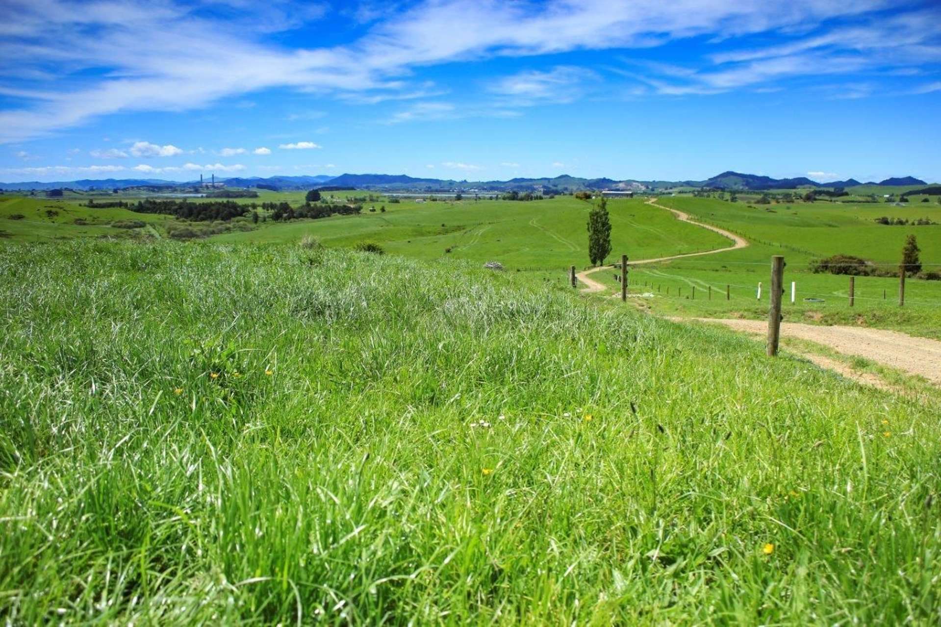 103a Ginn Road Huntly_0