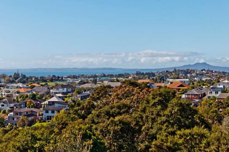 334 Glenvar Road Torbay_10