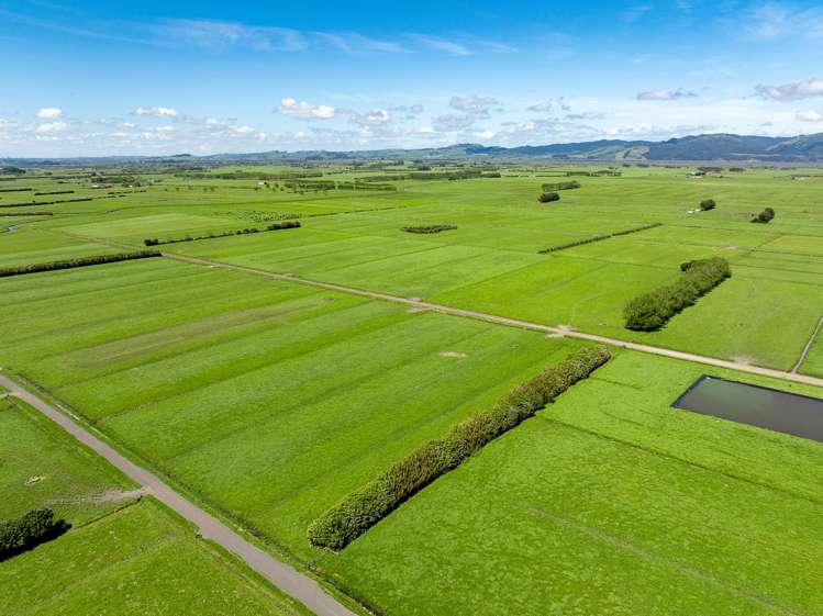 591 / 619 Waiuku-Otaua Road Waiuku_32