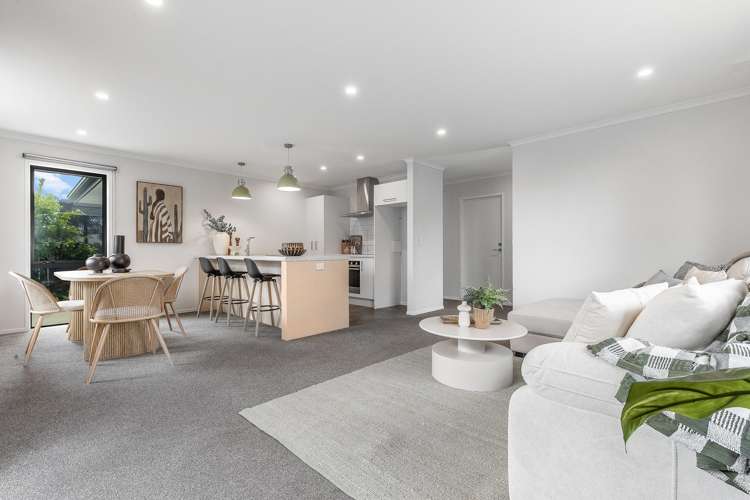 30A Queenwood Road Levin_2