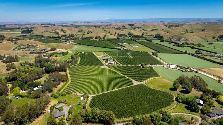 490 Puketitiri Road, Puketapu Napier South_5