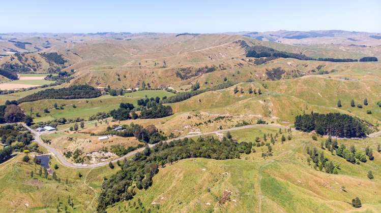 14781 Route 52 Eketahuna_19