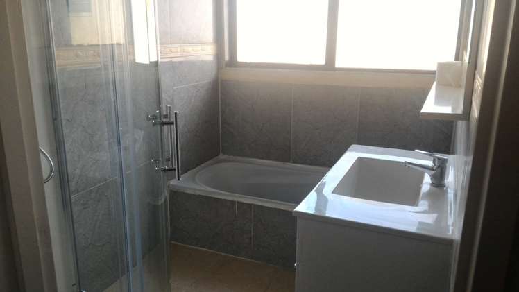 104a Vine Street Mangere East_1