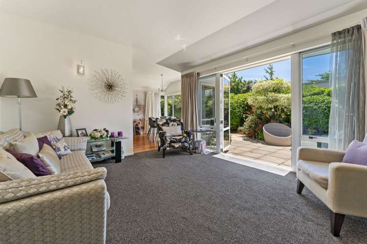 66d Tasman Street The Wood_4