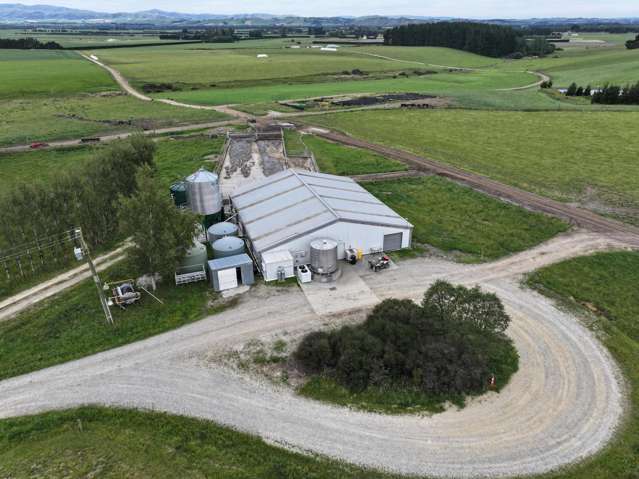 195 Dunn and Cody Road Riversdale_1