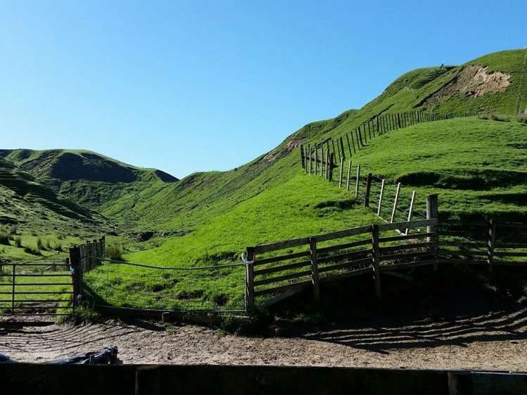 1584a Brunswick Road Kai Iwi_10