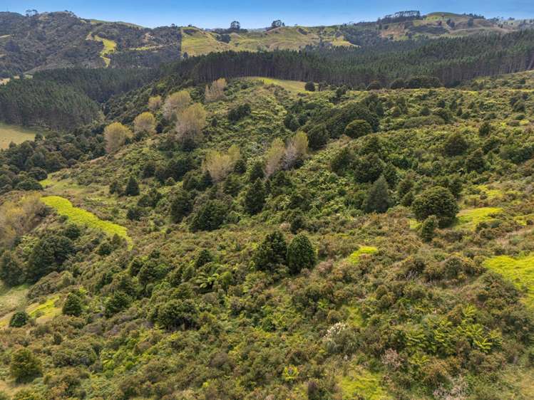 332 Komokoriki Hill Road Makarau_45