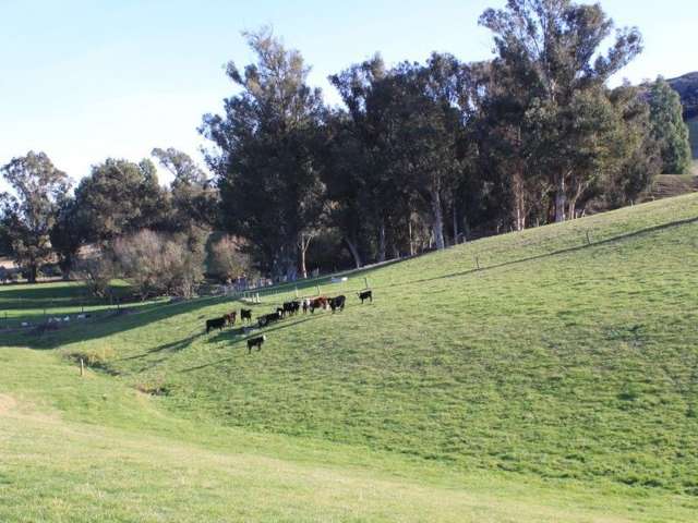 62a Tirohanga Road North Taieri_3