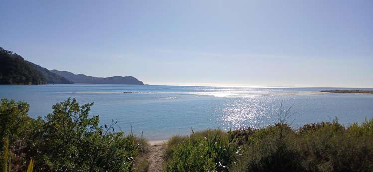81 Awaroa Inlet Awaroa_26
