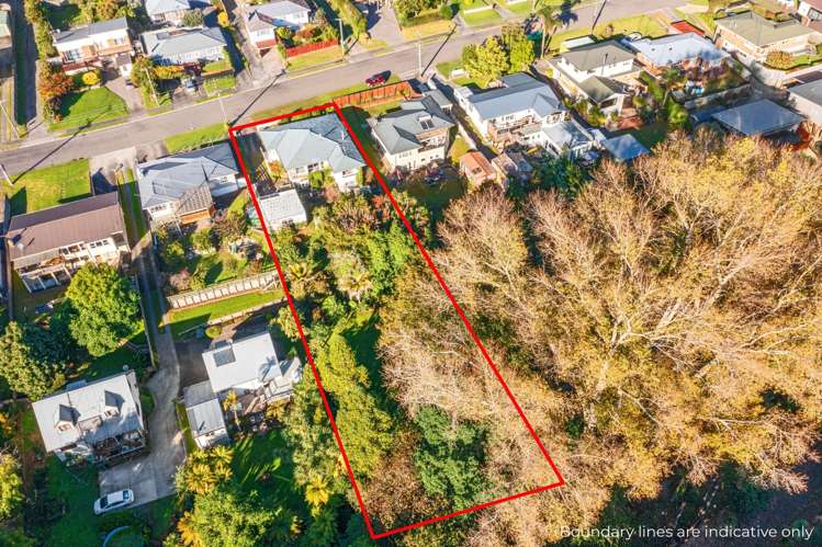 27 Esk Street Parkvale_23