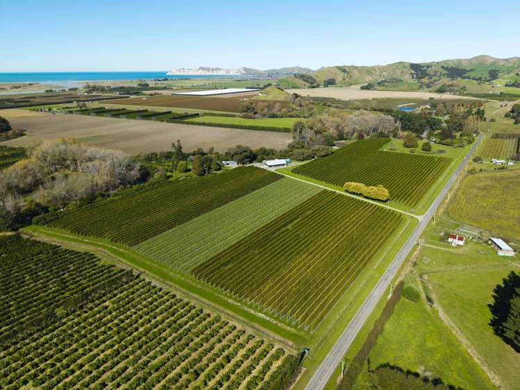 139 Taurau Valley Road Manutuke_7