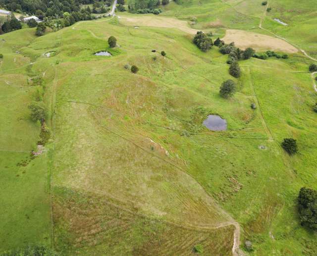 Paparoa Lifestyle Opportunity - 6.8 ha