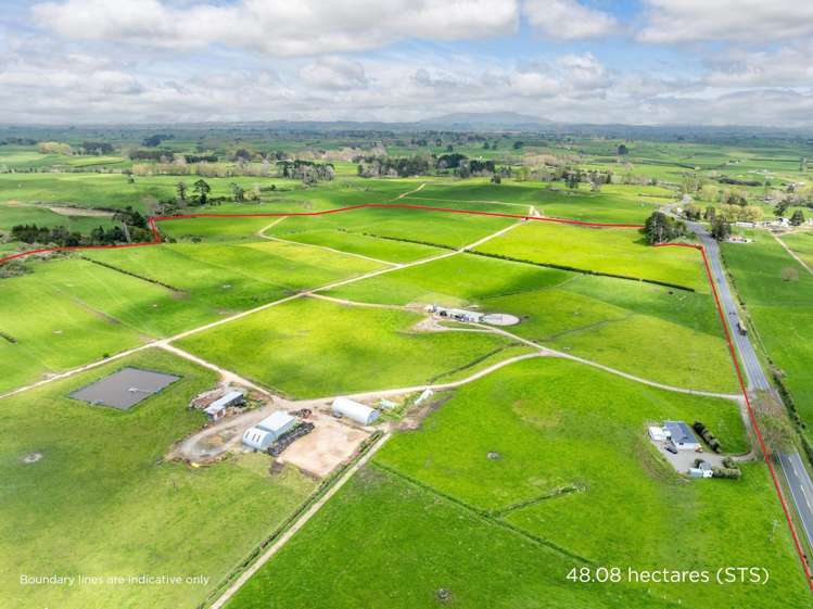 128 Rapurapu Road, Te Poi Matamata_12