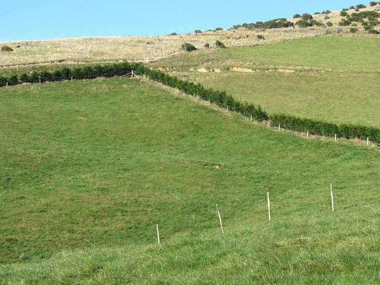 31 Hamlet Street Riverton_7