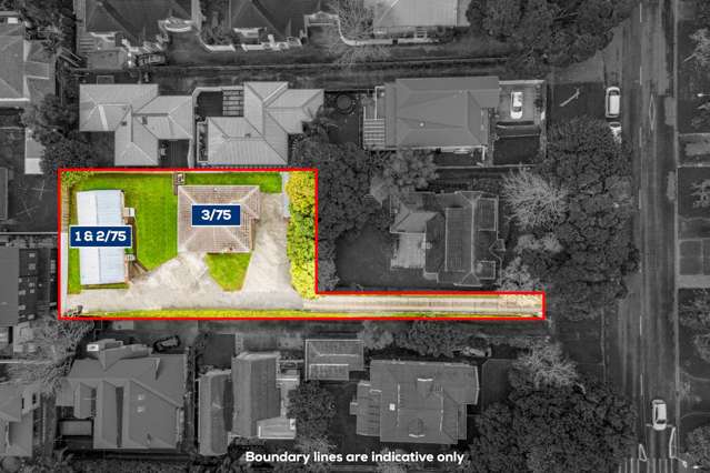 1,2&3/75 Wheturangi Road Greenlane_3
