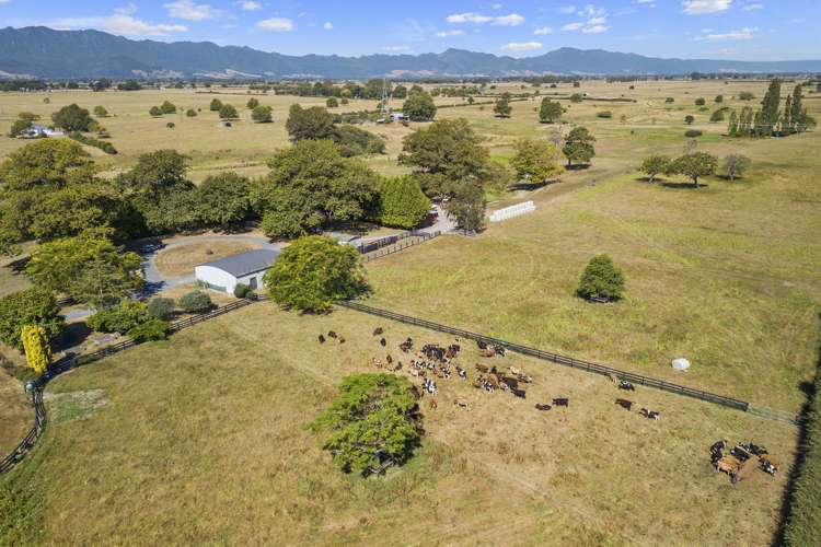 4272 State Highway 26 Waihou_31