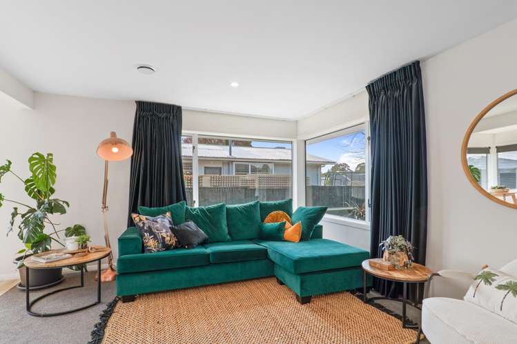 19 Eglinton Street Avondale_4