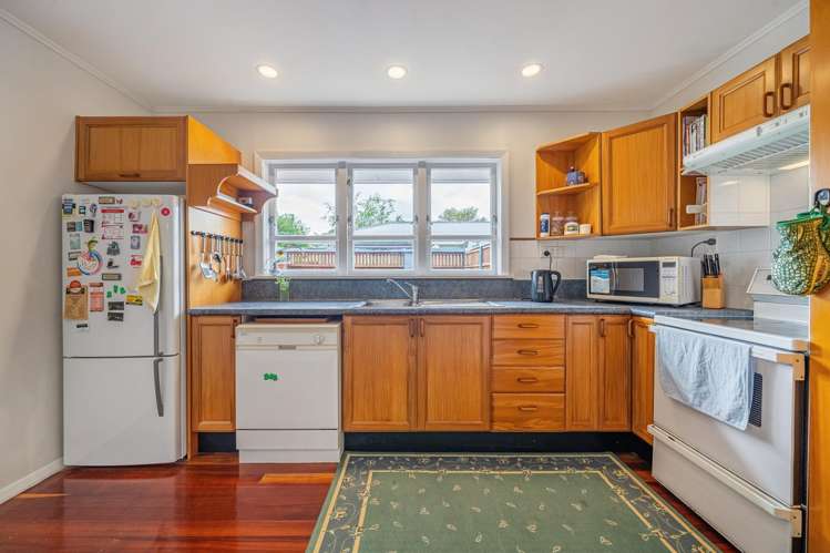 195 Taita Drive Avalon_11