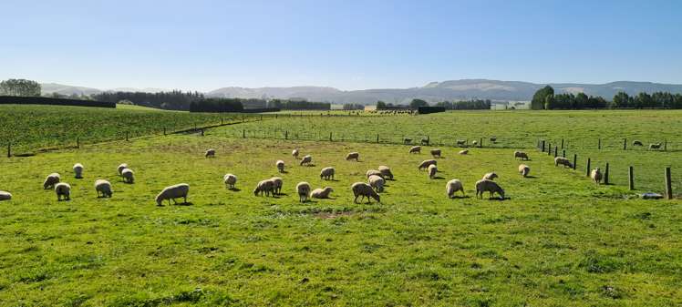 357 Middle Road Gore Surrounds_9