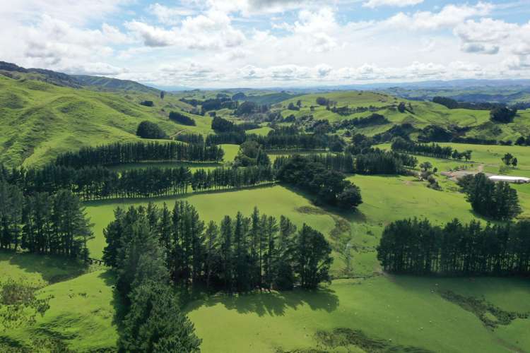 1091 Kopikopiko Road Eketahuna_19