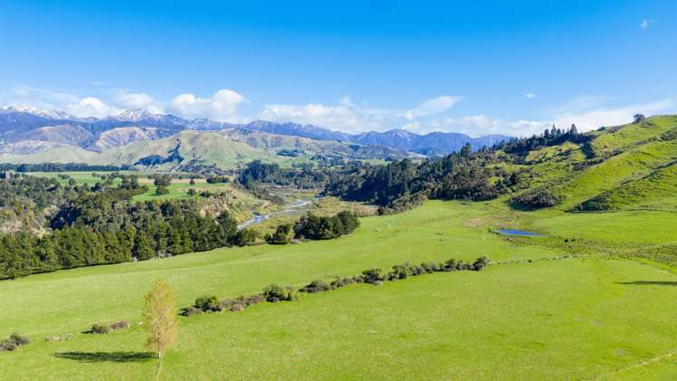 1139 Blackburn Road Ongaonga_23