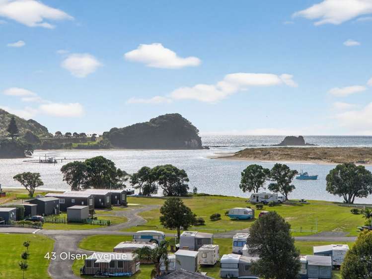 43 Olsen Avenue Mangawhai Heads_6