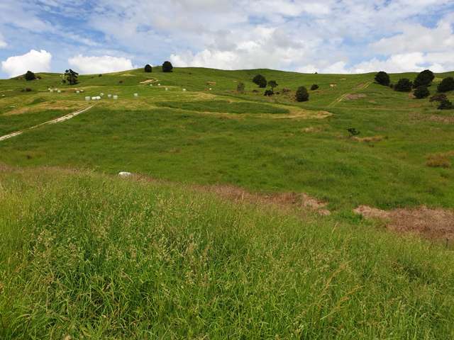 121 Whakapirau Road Maungaturoto_3