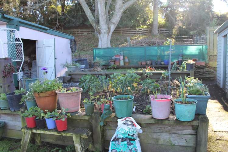 101 Arapuni Street Putaruru_3