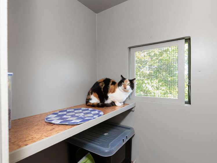 6 Steam Wharf Road Grovetown_20