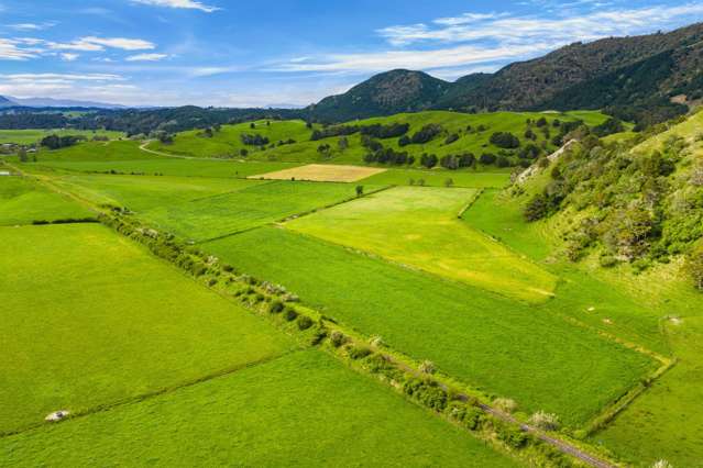 Omana Road Tangiteroria_2