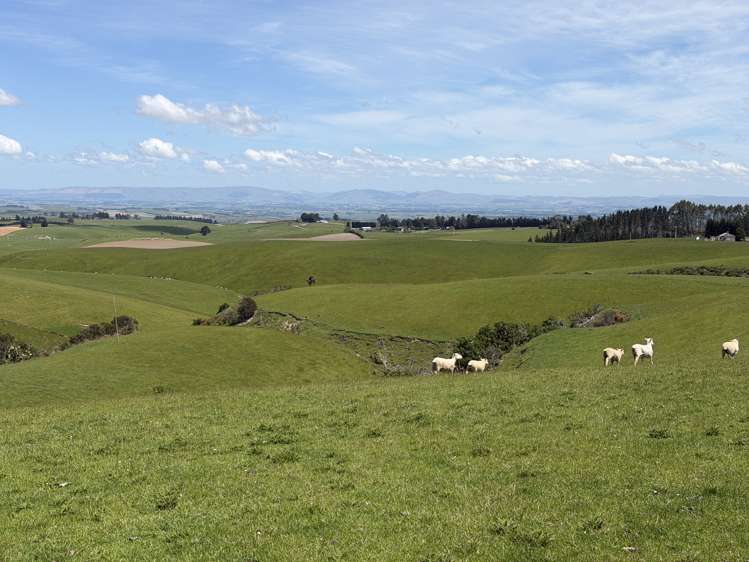 1129 Tuapeka West Road Tuapeka West_13